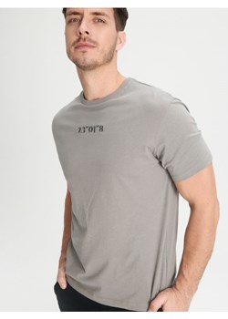 Sinsay - Koszulka - szary ze sklepu Sinsay w kategorii T-shirty męskie - zdjęcie 169292978