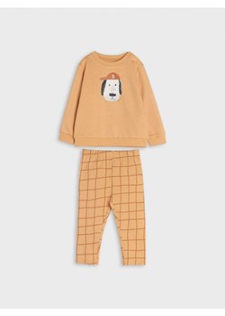 Sinsay - Komplet: bluza i spodnie - brązowy ze sklepu Sinsay w kategorii Dresy dla niemowlaka - zdjęcie 169293096