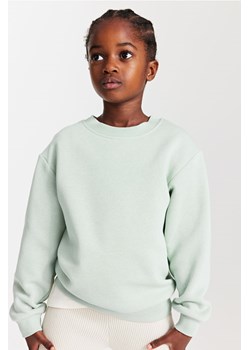 H & M - Bluza - Zielony ze sklepu H&M w kategorii Bluzy chłopięce - zdjęcie 169590769