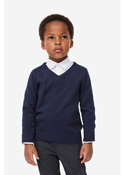 H & M - Sweter - Niebieski ze sklepu H&M w kategorii Swetry chłopięce - zdjęcie 169592895