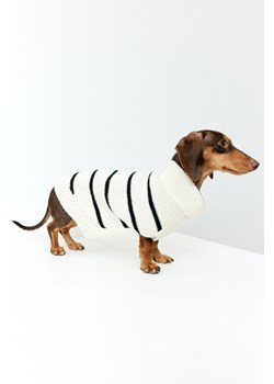 H & M - Sweter dla psa - Biały ze sklepu H&M w kategorii Dla zwierząt - zdjęcie 169597815