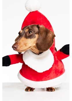 H & M - Kostium Mikołaja dla psa - Czerwony ze sklepu H&M w kategorii Dla zwierząt - zdjęcie 169599866