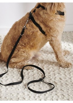 Sinsay - Szelki i smycz dla psa - czarny ze sklepu Sinsay w kategorii Dla zwierząt - zdjęcie 169628696