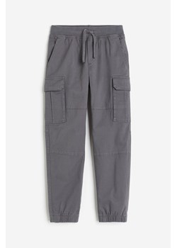 H & M - Spodnie cargo - Szary ze sklepu H&M w kategorii Spodnie chłopięce - zdjęcie 169647997