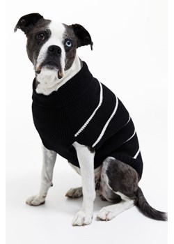 H & M - Sweter dla psa - Czarny ze sklepu H&M w kategorii Swetry damskie - zdjęcie 169676856