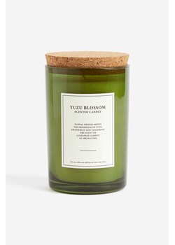 H & M - Świeca zapachowa w pojemniku - Zielony ze sklepu H&M w kategorii Świece i dyfuzory - zdjęcie 169682016