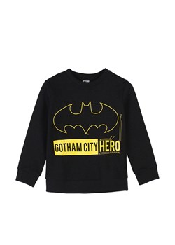 Bluza grafitowa nierozpinana - Batman ze sklepu 5.10.15 w kategorii Bluzy chłopięce - zdjęcie 169685699