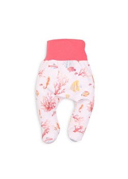Bawełniane półśpiochy niemowlęce z motywem rafy ze sklepu 5.10.15 w kategorii Spodnie i półśpiochy - zdjęcie 169686969