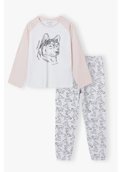 Piżama dla dziewczynki - bluzka z nadrukiem psa + długie spodnie w pieski ze sklepu 5.10.15 w kategorii Piżamy dziecięce - zdjęcie 169689788