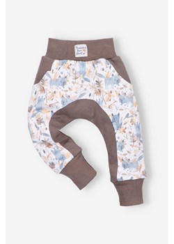 Spodnie niemowlęce z bawełny organicznej dla chłopca- z liskami ze sklepu 5.10.15 w kategorii Spodnie i półśpiochy - zdjęcie 169696619