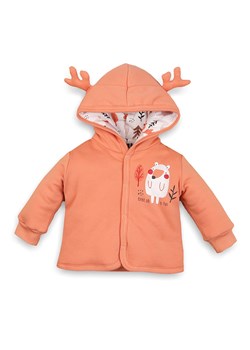 Kurtka niemowlęca z bawełny organicznej dla chłopca ze sklepu 5.10.15 w kategorii Kombinezony i kurtki - zdjęcie 169698496