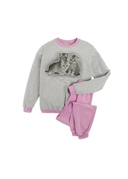 Dziewczęca piżama szaro-różowa kotki ze sklepu 5.10.15 w kategorii Piżamy dziecięce - zdjęcie 169700389