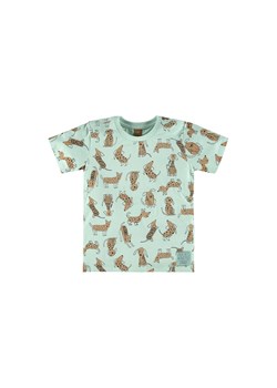 Bawełniany t-shirt chłopięcy w pieski ze sklepu 5.10.15 w kategorii T-shirty chłopięce - zdjęcie 169704115