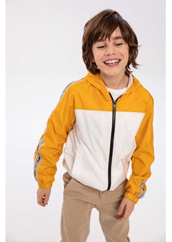 Żółta kurtka typu wiatrówka dla chłopca z kapturem ze sklepu 5.10.15 w kategorii Kurtki chłopięce - zdjęcie 169704157