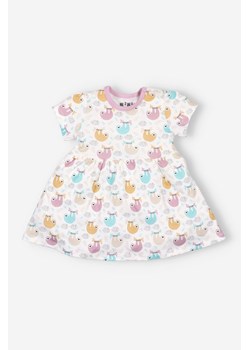 Sukienka niemowlęca z bawełny ze sklepu 5.10.15 w kategorii Sukienki niemowlęce - zdjęcie 169707968