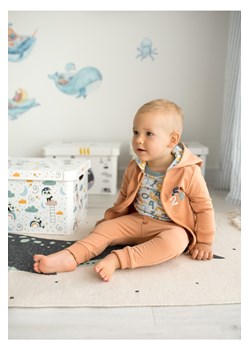 Bluza niemowlęca z bawełny organicznej dla chłopca ze sklepu 5.10.15 w kategorii Bluzy i swetry - zdjęcie 169708029