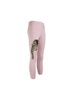 Dziewczęce legginsy różowe z kotkiem ze sklepu 5.10.15 w kategorii Spodnie dziewczęce - zdjęcie 169715908