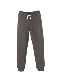Spodnie dresowe chłopięce basic szare ze sklepu 5.10.15 w kategorii Spodnie chłopięce - zdjęcie 169716507