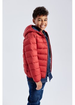 Lekka, pikowana kurtka przejściowa dla dziecka - czerwona - unisex - Limited Edition ze sklepu 5.10.15 w kategorii Kurtki chłopięce - zdjęcie 169717626
