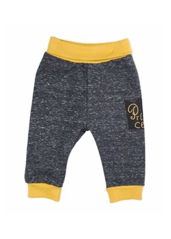 Spodnie dresowe niemowlęce- grafitowe Prince ze sklepu 5.10.15 w kategorii Spodnie i półśpiochy - zdjęcie 169718529