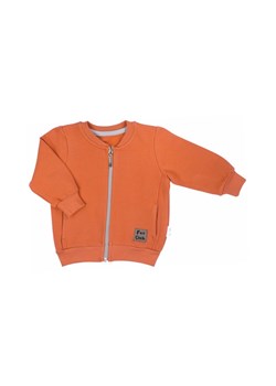 Bluza dresowa chłopięca Fox Club -pomarańczowa ze sklepu 5.10.15 w kategorii Bluzy i swetry - zdjęcie 169721577