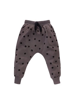 Bawełniane joggersy - szare w kropki ze sklepu 5.10.15 w kategorii Spodnie i półśpiochy - zdjęcie 169722219