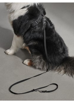 Sinsay - Smycz i szelki dla psa - czarny ze sklepu Sinsay w kategorii Dla zwierząt - zdjęcie 169740475