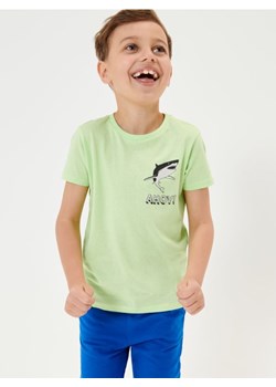 Sinsay - Koszulka - zielony ze sklepu Sinsay w kategorii T-shirty chłopięce - zdjęcie 169803606