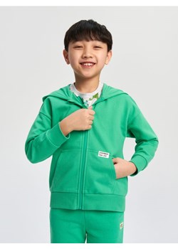 Sinsay - Bluza rozpinana - zielony ze sklepu Sinsay w kategorii Bluzy chłopięce - zdjęcie 169813898