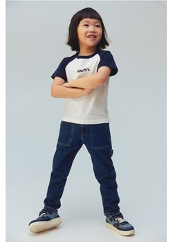 H & M - T-shirt z reglanowym rękawem i motywem - Niebieski ze sklepu H&M w kategorii T-shirty chłopięce - zdjęcie 169871757