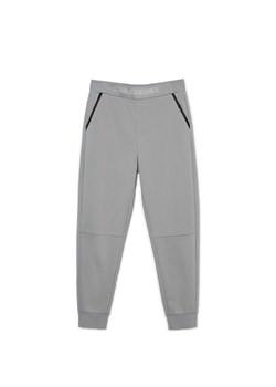 Cropp - Szare dresowe joggery - jasny szary ze sklepu Cropp w kategorii Spodnie męskie - zdjęcie 169883269