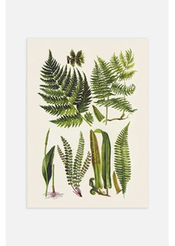 H & M - Vintage Herbs Plakat - Zielony ze sklepu H&M w kategorii Plakaty - zdjęcie 169907679