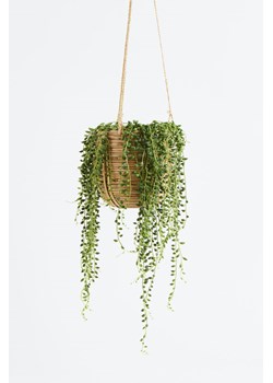 H & M - Senecio Rowleyanus - sznur pereł - Zielony ze sklepu H&M w kategorii Dekoracje - zdjęcie 169907726