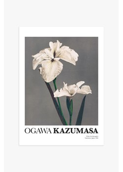 H & M - White Iris By Kazumasa Plakat - Szary ze sklepu H&M w kategorii Dekoracje ścienne - zdjęcie 169907957