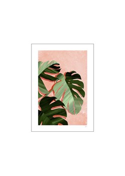 H & M - Violets Print House - Monstera Leaves - Biały ze sklepu H&M w kategorii Plakaty - zdjęcie 169908175