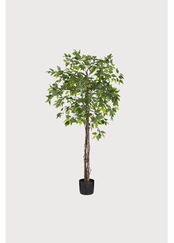 H & M - Sztuczna Roślina Figowca - Zielony ze sklepu H&M w kategorii Dekoracje - zdjęcie 169908778
