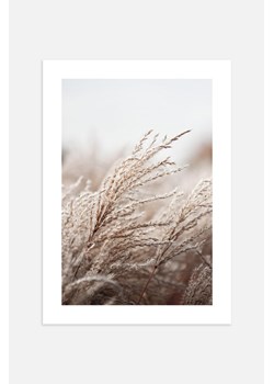 H & M - Grasses In The Wind Plakat - Pomarańczowy ze sklepu H&M w kategorii Plakaty - zdjęcie 169909005
