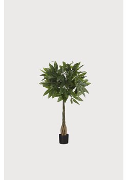 H & M - Sztuczna Roślina Pachira - Zielony ze sklepu H&M w kategorii Dekoracje - zdjęcie 169909027