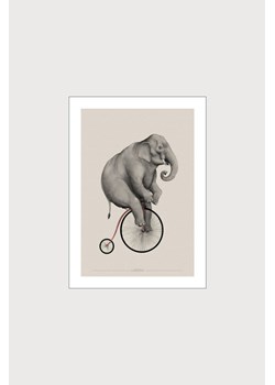H & M - Cellard'or - Elephant Riding - Pomarańczowy ze sklepu H&M w kategorii Dekoracje ścienne - zdjęcie 169992578