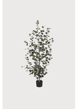 H & M - Sztuczna Roślina Eukaliptusa - Zielony ze sklepu H&M w kategorii Dekoracje - zdjęcie 170040486