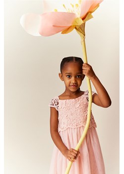 H & M - Sukienka z tiulem i koronką - Pomarańczowy ze sklepu H&M w kategorii Sukienki dziewczęce - zdjęcie 170122988