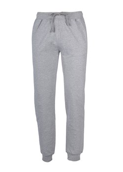 U.S. Polo Assn. Spodnie dresowe w kolorze szarym ze sklepu Limango Polska w kategorii Spodnie męskie - zdjęcie 170174777