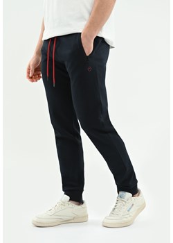 Spodnie dresowe joggery N-SED ze sklepu Volcano.pl w kategorii Spodnie męskie - zdjęcie 170476385