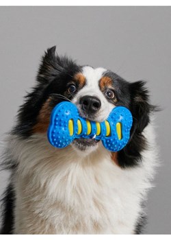 Sinsay - Zabawka dla psa - niebieski ze sklepu Sinsay w kategorii Dla zwierząt - zdjęcie 170498387