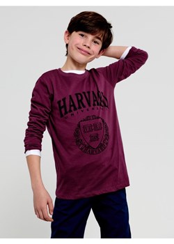 Sinsay - Koszulka Harvard - fioletowy ze sklepu Sinsay w kategorii T-shirty chłopięce - zdjęcie 170522726