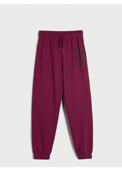 Sinsay - Spodnie dresowe jogger Harvard - fioletowy ze sklepu Sinsay w kategorii Spodnie chłopięce - zdjęcie 170522727