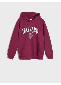 Sinsay - Bluza Harvard - fioletowy ze sklepu Sinsay w kategorii Bluzy chłopięce - zdjęcie 170522729