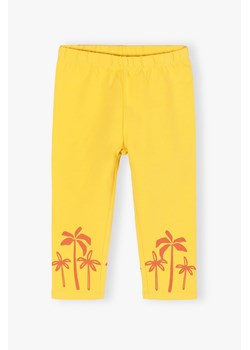 Żółte legginsy dla dziewczynki 3/4 ze sklepu 5.10.15 w kategorii Spodnie dziewczęce - zdjęcie 170556237