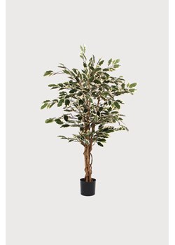 H & M - Sztuczna Roślina Figowca - Zielony ze sklepu H&M w kategorii Dekoracje - zdjęcie 170635256