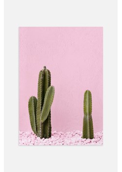 H & M - Green Cactus Plakat - Różowy ze sklepu H&M w kategorii Plakaty - zdjęcie 170636355